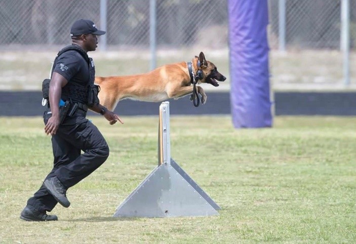 Canine - Miami Police Department